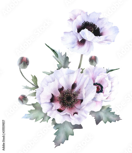 Hand drawn watercolor floral arrangement with picturesque poppies  buds and leaves isolated on a white background. Floral botanical illustration for wedding invitations  cards  patterns.