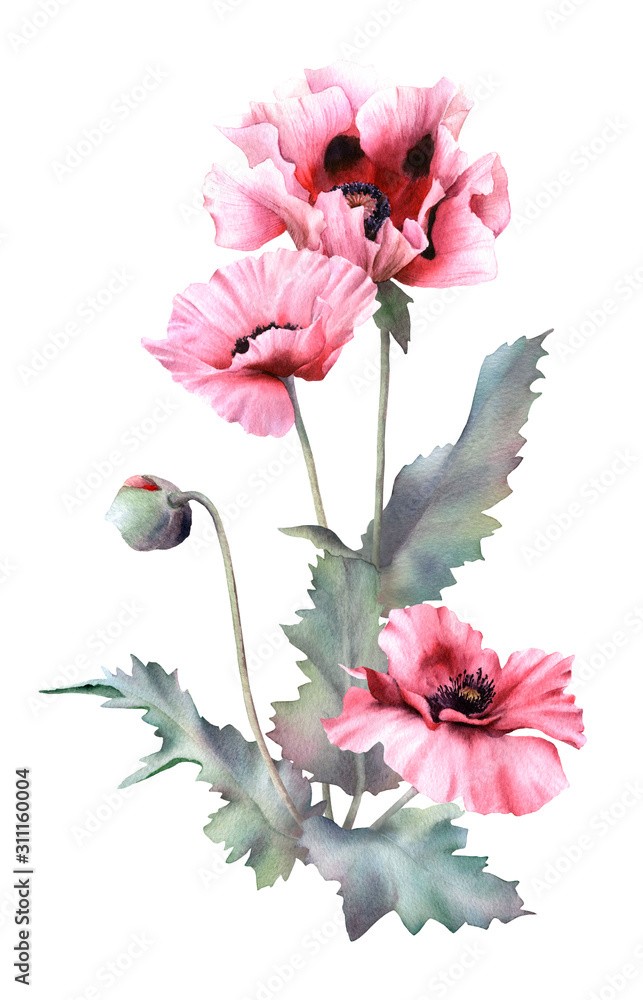 Obraz premium Hand drawn watercolor floral arrangement with picturesque poppies, buds and leaves isolated on a white background. Floral botanical illustration for wedding invitations, cards, patterns.