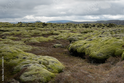 landscape with moss and lead sky in Iceland in spring
