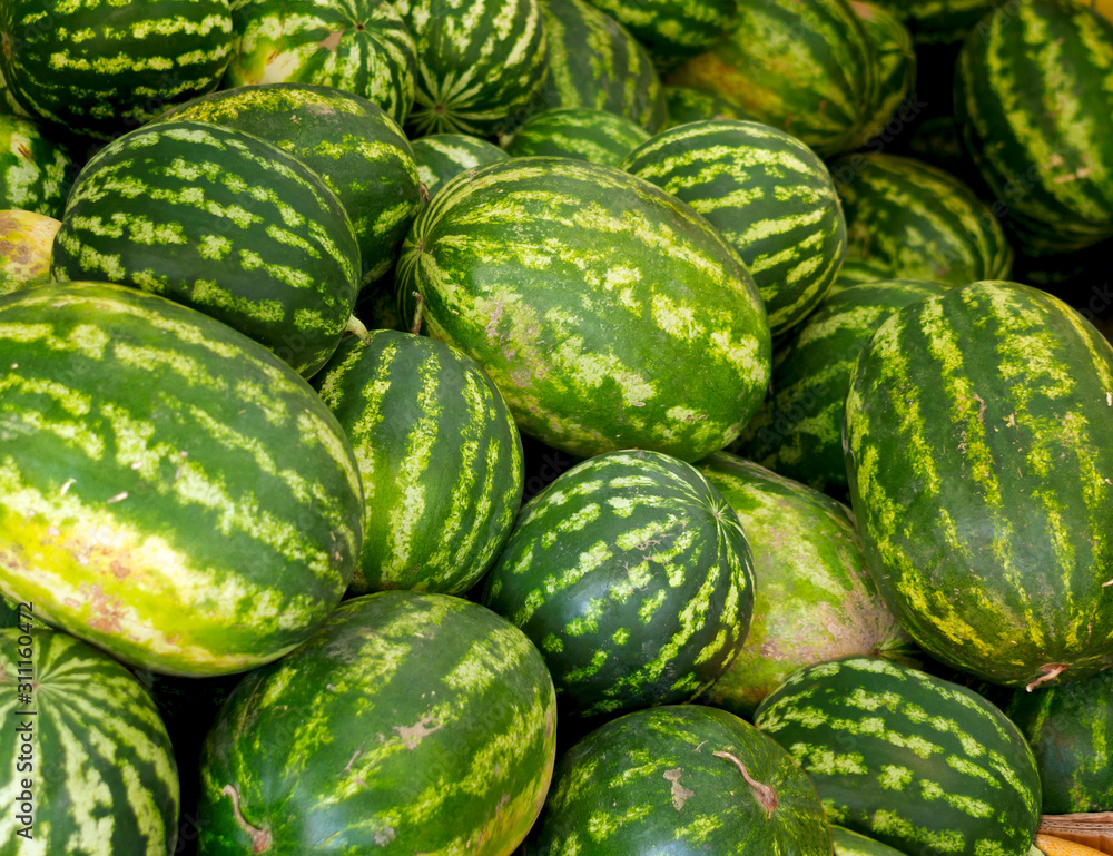 large green watermelons bunch sale bazaar background large green watermelons bunch sale bazaar background
