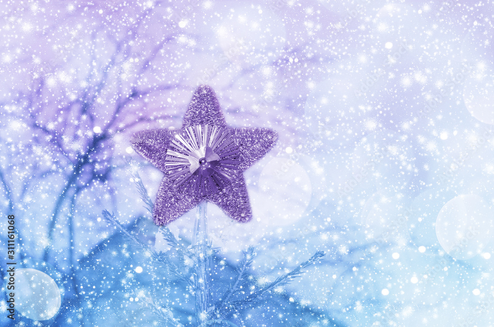 Star on the Christmas tree in the winter garden, on the background of the roof and snow Star on the Christmas tree in the winter garden, on the background of the roof and snow