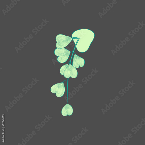 Hoya kerrii plant in a pot with leaves like heart. Line art doodle sketch. Green outline on grey background. Picture can be used in greeting cards, posters, flyers, banners, logo, botanical design etc