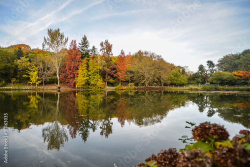 autumn in the park