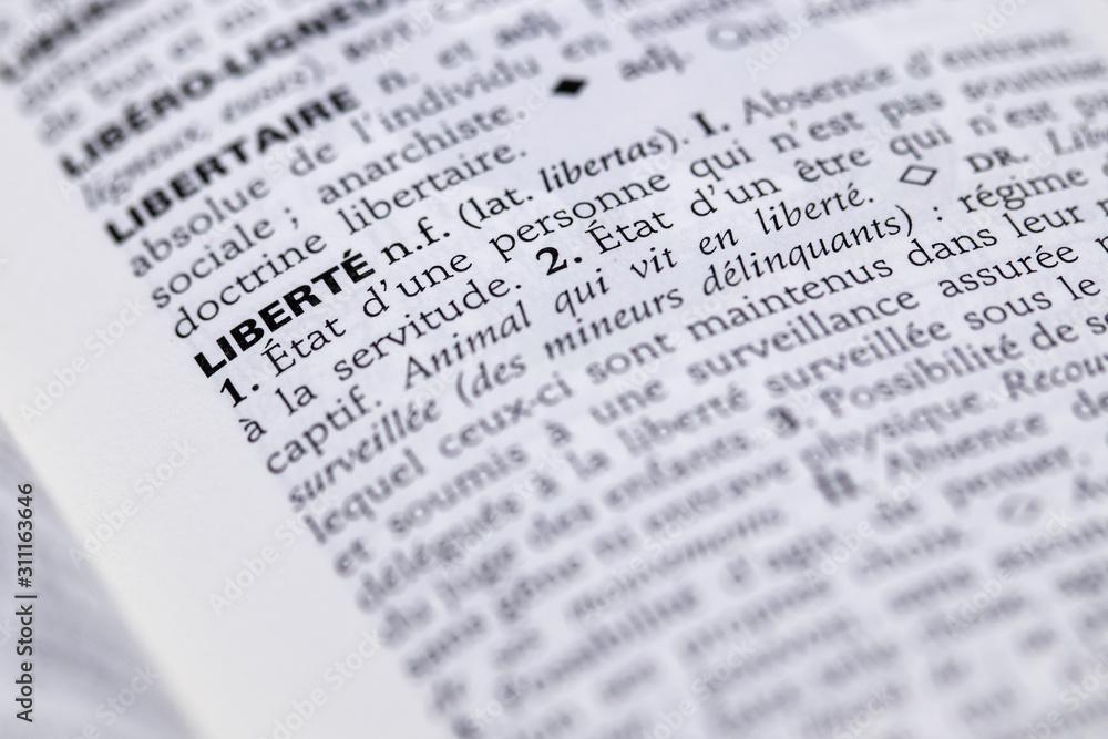 Définition du mot liberté dans le dictionnaire français Définition du mot liberté dans le dictionnaire français