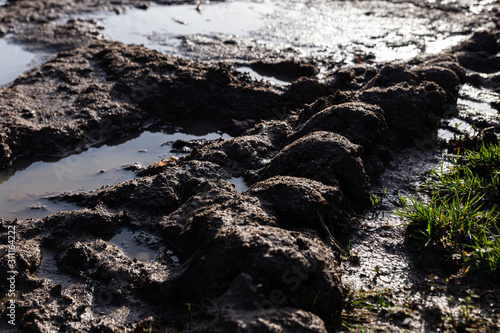 mud and puddles