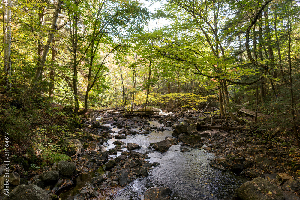 Small river in the Algonquin provincial Park. Ontario. Canada Small river in the Algonquin provincial Park. Ontario. Canada