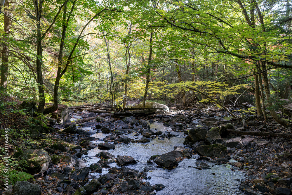 Small river in the Algonquin provincial Park. Ontario. Canada Small river in the Algonquin provincial Park. Ontario. Canada