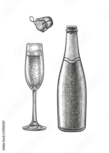 Ink sketch of champagne