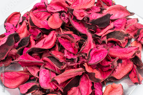 Dried Pink Flowers on White Background