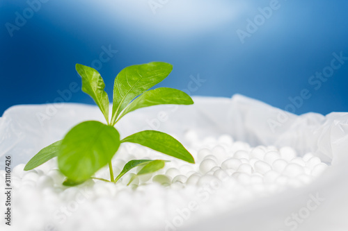 Quadro su tela Green leaves plant growing on polystyrene foam bead in plastic bag with vibrant
