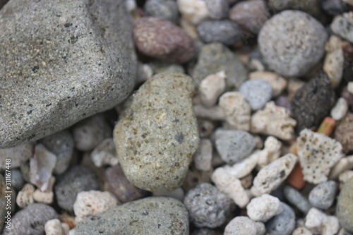 Background texture close up view of beach pebbles scattered on the beach