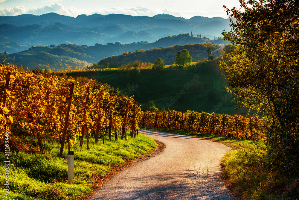 Slovenian and Austrian wine road