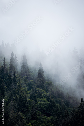 Dekoracja na wymiar  mglisty-krajobraz-gorski