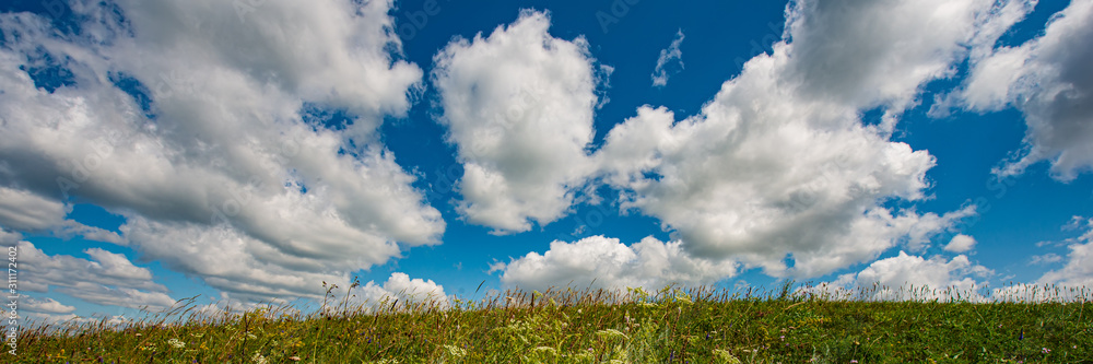 top of a hill covered with grasses blue sky and clouds on a sunny day. top of a hill covered with grasses blue sky and clouds on a sunny day.