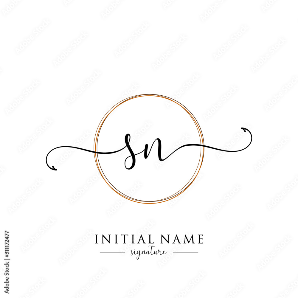 Initial Letter SN Signature Handwriting and Elegant Logo Design Vector ...