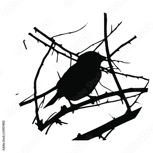 A little bird on thin branches of a tree, in the form of a black silhouette. For the decoration of the premises and the design of the walls. For postcards about wildlife and bird life.