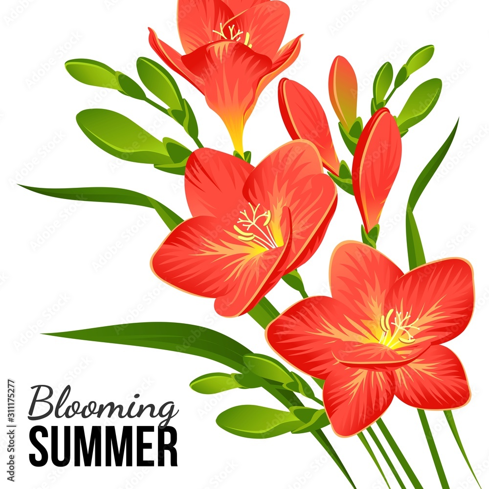 Festive banner with blooming red freesias in vector Festive banner with blooming red freesias in vector