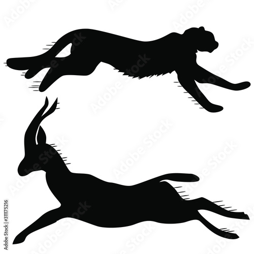 Running jaguar and running antelope are drawn in black silhouettes. Wild animals. Hishnik and herbivore.