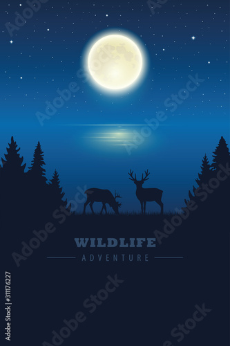 wildlife elk in the wilderness by the lake with full moon in a starry night vector illustration EPS10