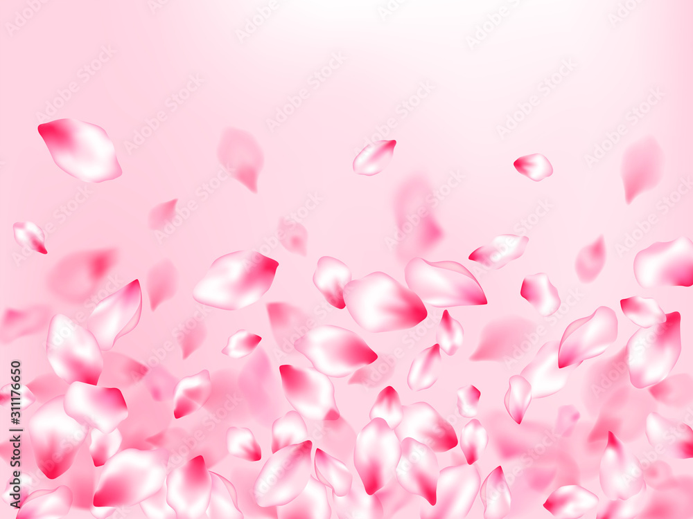 Spring tree flowers parts, airy flying petals Spring tree flowers parts, airy flying petals