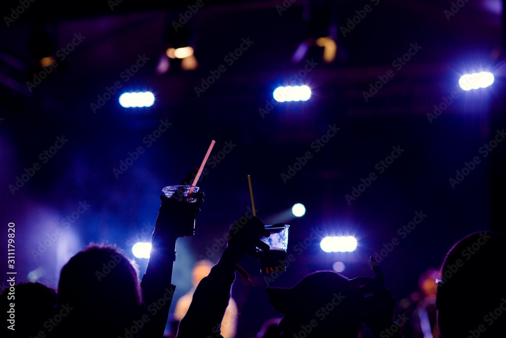 crowd at a rock concert