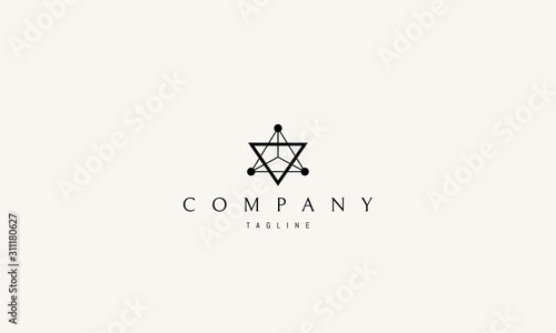 Vector logo on which an abstract image of a triangular alchemical symbol.
