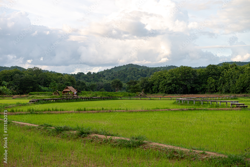 Forest and mountain in Sangkhlaburi District, Kanchanaburi Thailand 2019. Forest and mountain in Sangkhlaburi District, Kanchanaburi Thailand 2019.
