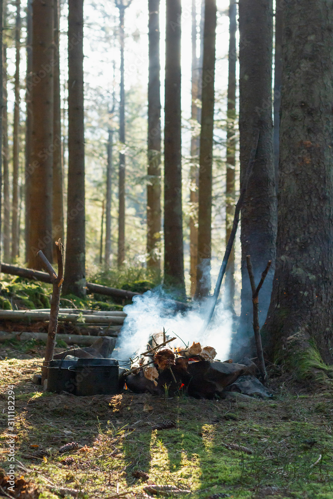 Cooking in a cauldron over campfire in a wood. Cauldron on fire. Preparing for a delicious dinner. Trip to the mountains