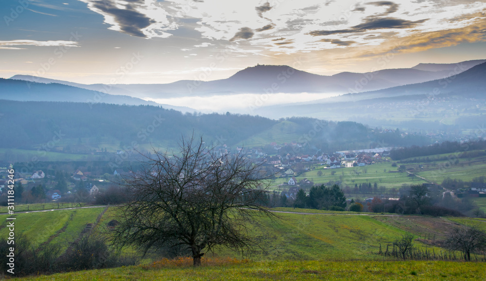 Obraz premium Winterliche Stimmung im Val de Villé in den Vogesen