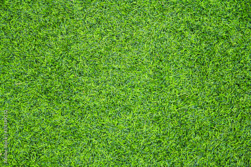 Fototapeta premium green grass texture background
