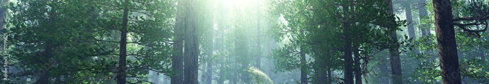 Panorama of trees in the morning fog, forest in smoke, 3D rendering. Panorama of trees in the morning fog, forest in smoke, 3D rendering.
