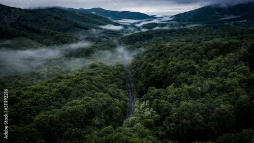 Curved road in forest. Drone perspective
