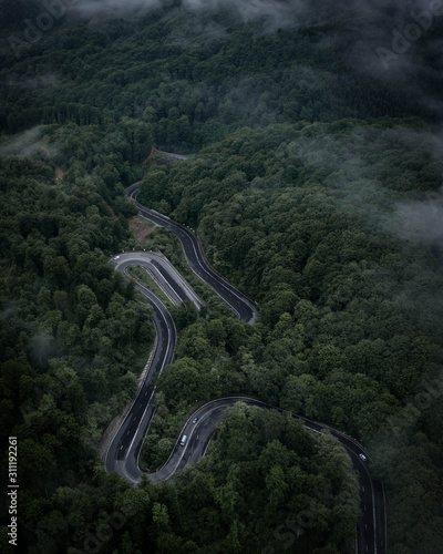 Curved road in forest. Drone perspective