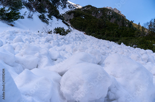 Landscape after the descent of a snow avalanche. Tatra Mountains.