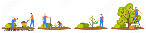 Agricultural workers. Harvesting, planting a tree, growing a tree. Gardening vector illustration.