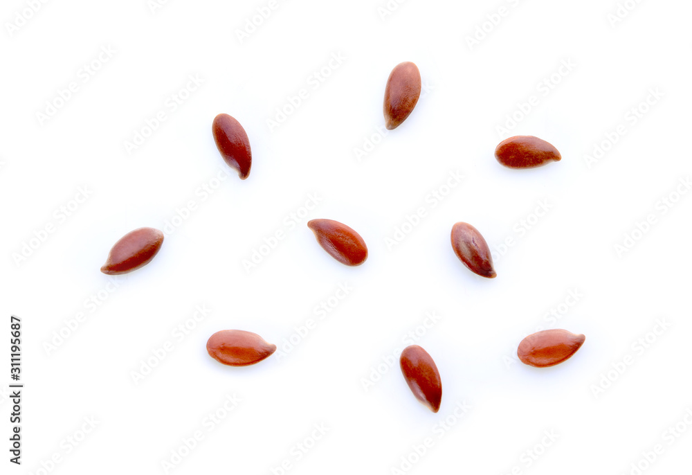 seed flex isolated on white background seed flex isolated on white background