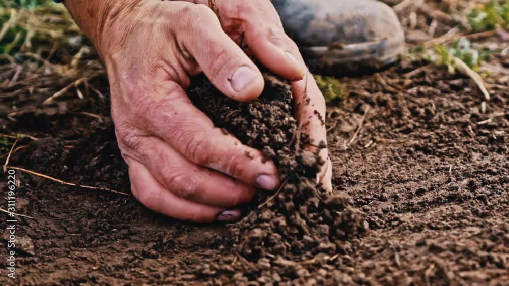 A farmer picks up a handful of soil from the floor as it spills out of his hands in slow motion A farmer picks up a handful of soil from the floor as it spills out of his hands in slow motion