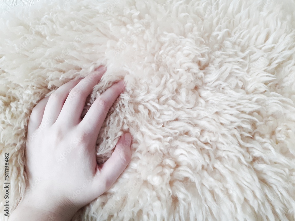 hand on white soft fur hand on white soft fur