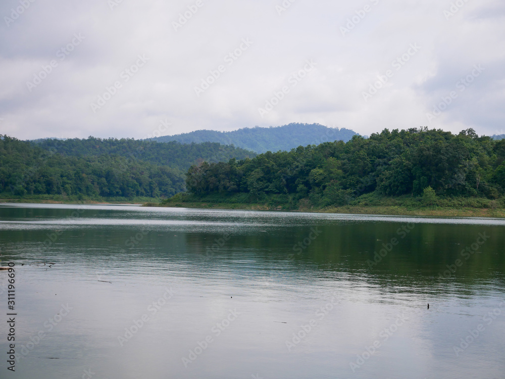 lake in forest