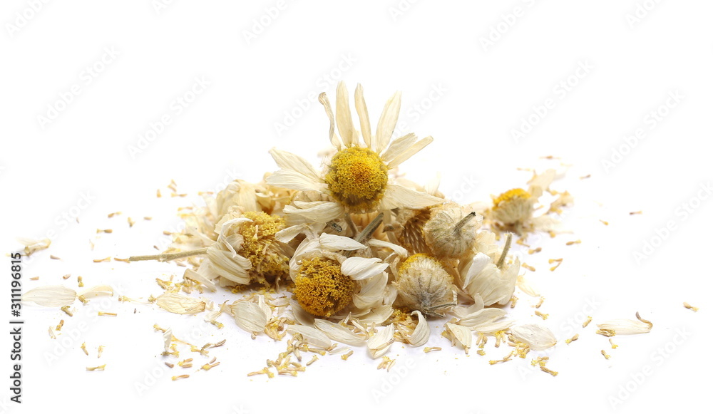 Dry chamomile flower petals isolated on white background