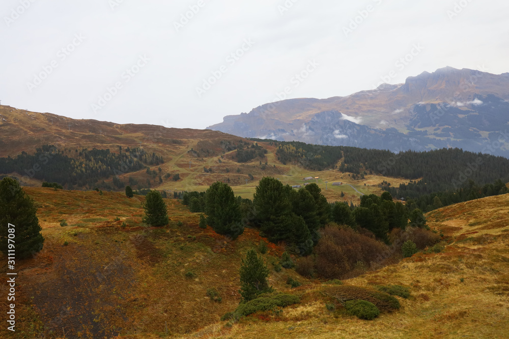 View of Landscape mountain in autumn nature and environment at interlaken,swiss View of Landscape mountain in autumn nature and environment at interlaken,swiss