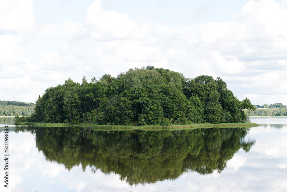 Fototapeta premium lake in deep forest