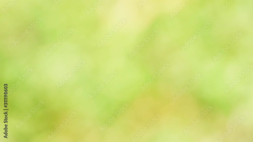 Nature bokeh background with motion blur. Nature bokeh background with motion blur.