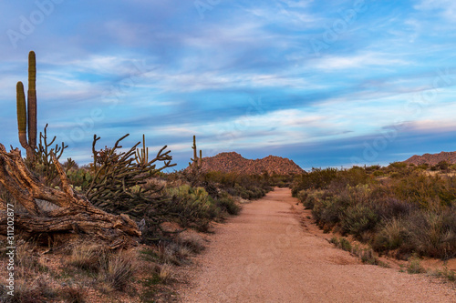 Desert Hiking Trail At Dusk In Scottsdale AZ Park