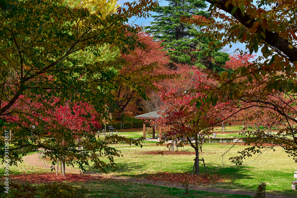 Naklejka premium Yamagata castle park, Yamagata, Japan
