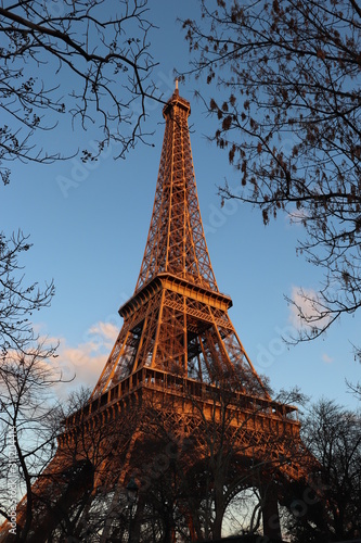 eiffel tower in paris © Milena