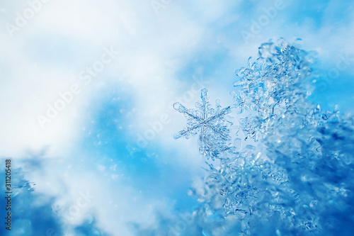 Snowflakes close-up. Macro photo. The concept of winter, cold, beauty of nature. Copy space.