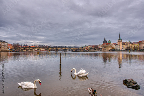 Gorgeous view of Charles Bridge with swans in the foreground, Prague
