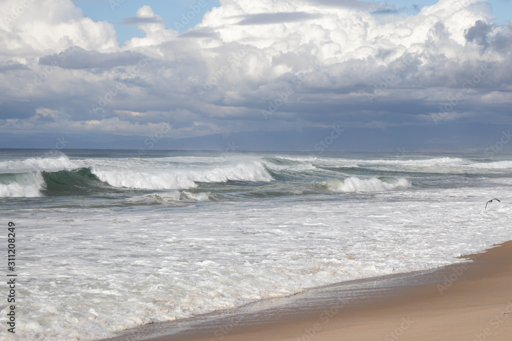 Fototapeta premium Clouds over Marina State Beach in Monterey Peninsula California