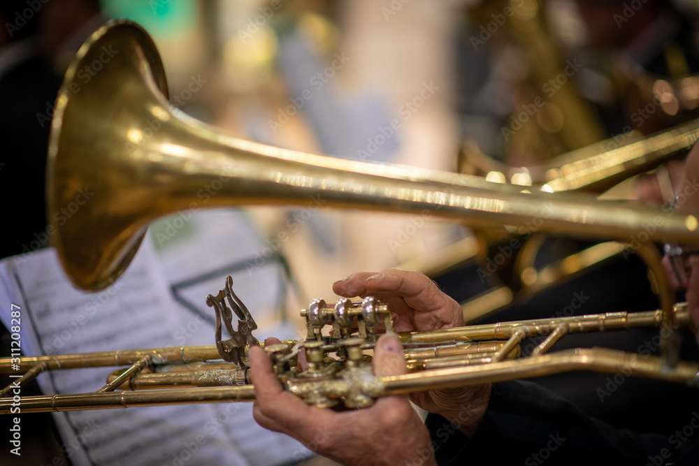 Obraz premium Trombone